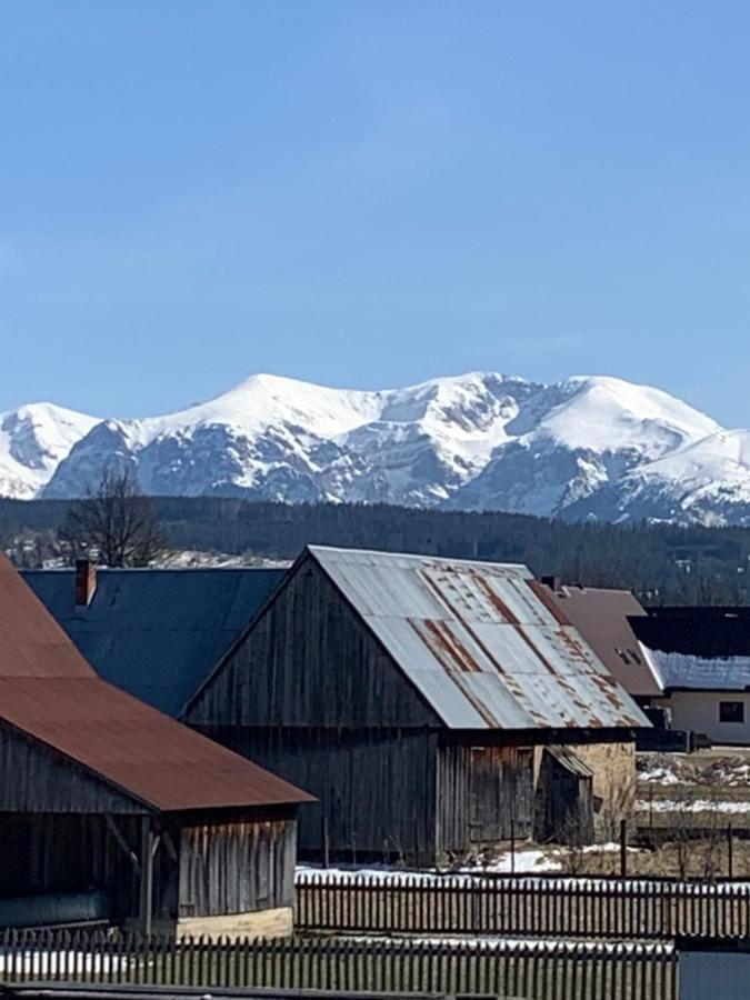 Domki Magdalena Przy Termach Chocholowskich Witów Dış mekan fotoğraf